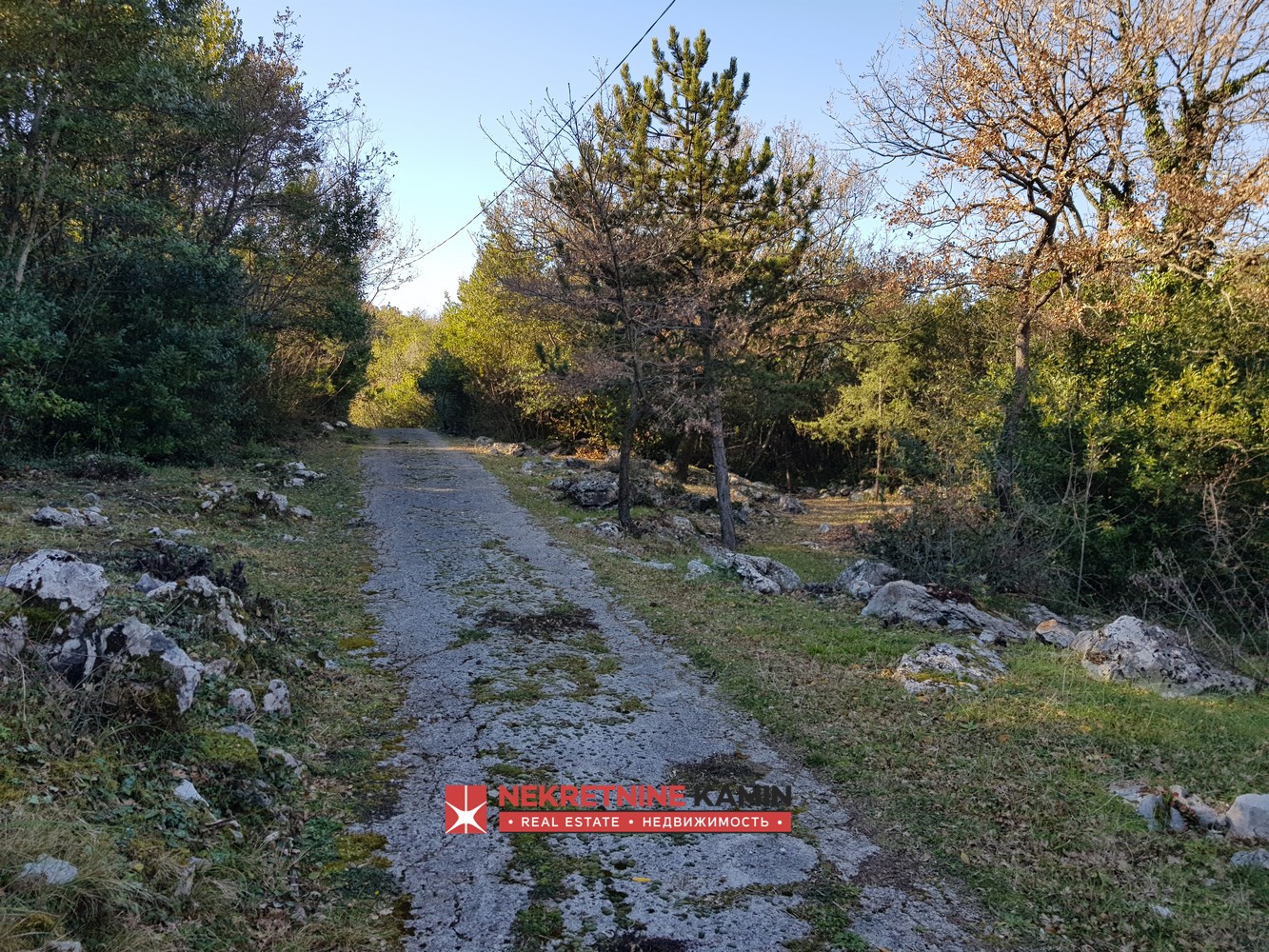 Estate with an Old House on 26,000 m² of Land, Pobrdje, Kotor